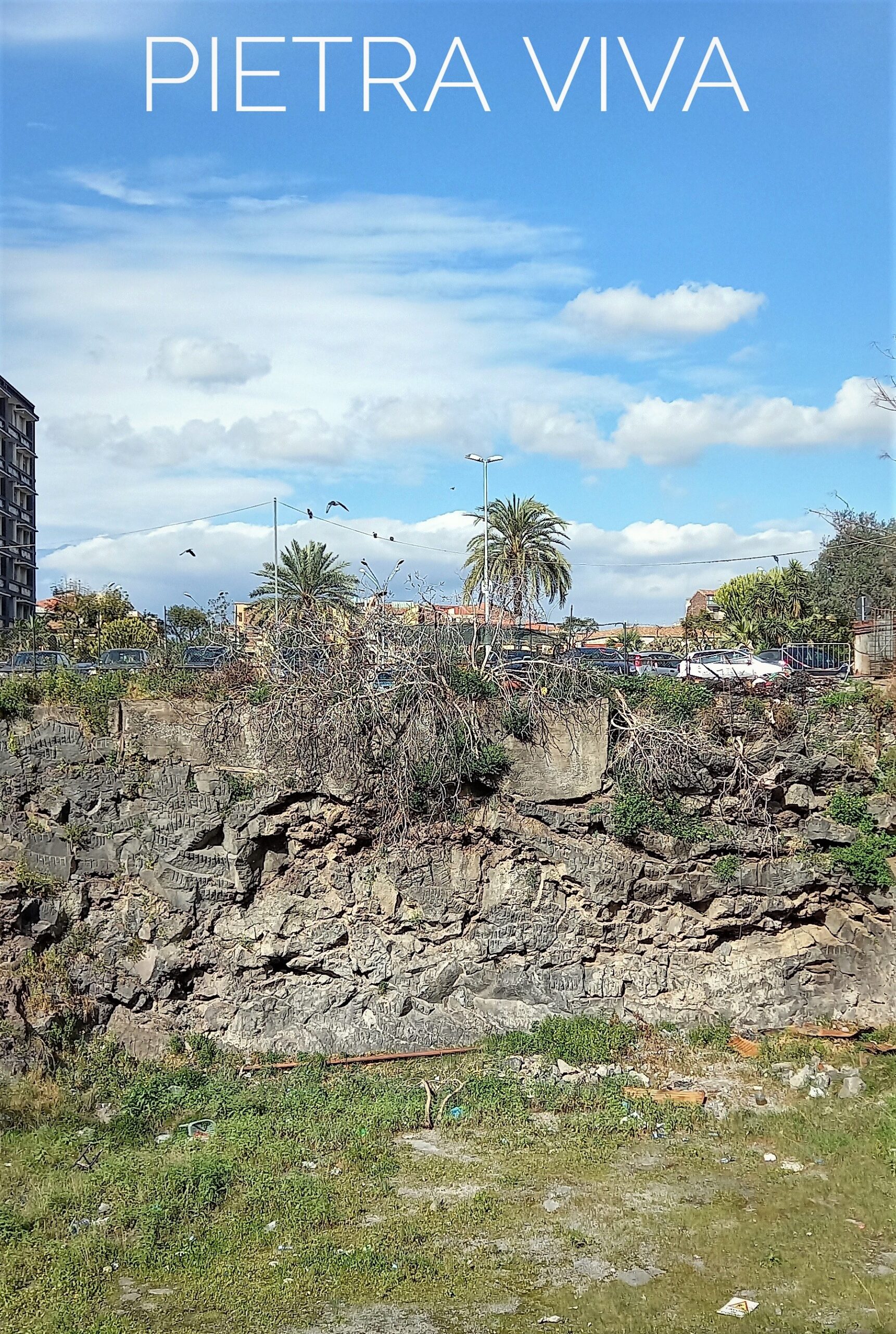 rispetta la pietra corso sicilia verde urbano parco martiri della libertà catania visionaria 1mqdb fantasia contemporanea