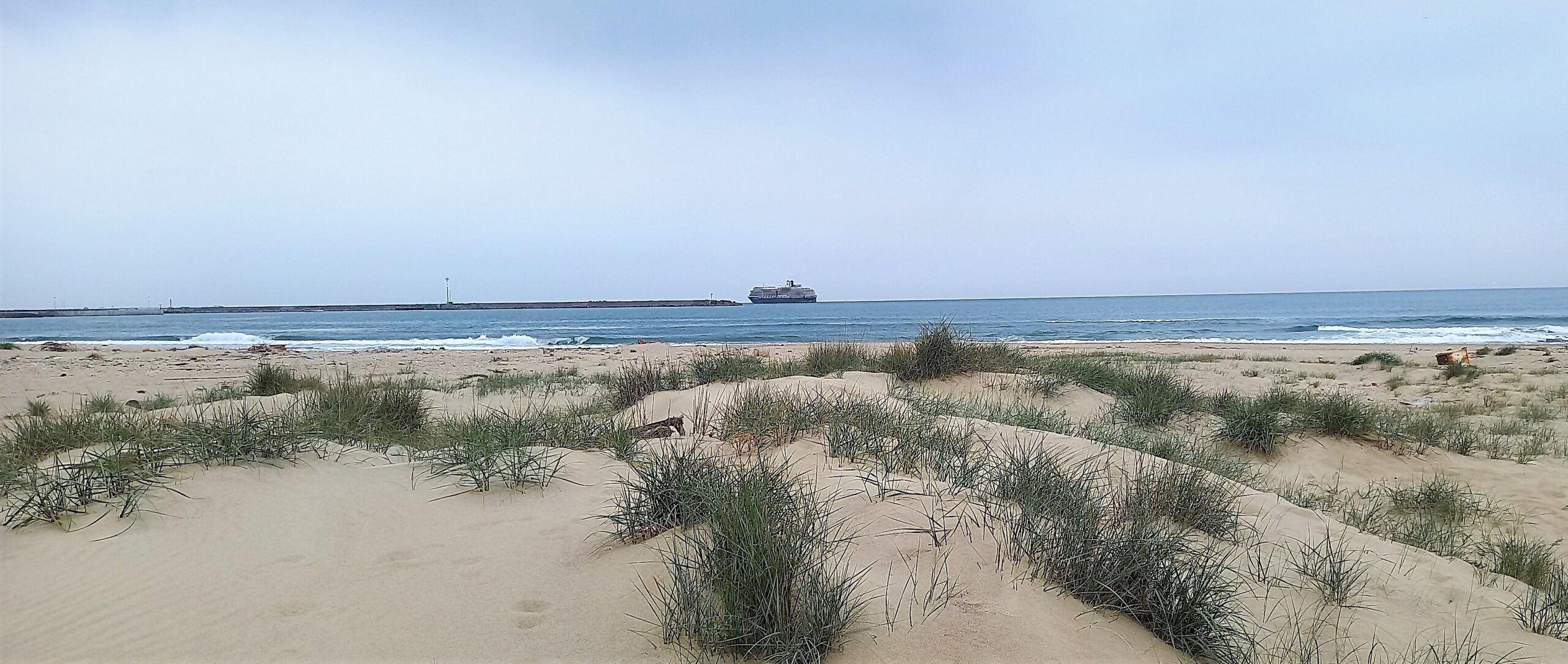 1mqdb la playa di catania sono distese di dune che meritano tornare interamente risorsa rigenerativa planetaria congiungimento oasy del simeto